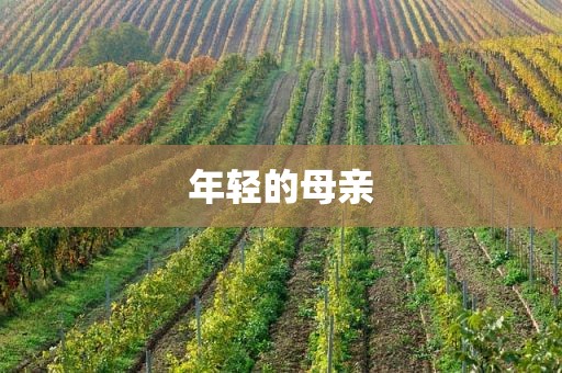 年轻的母亲