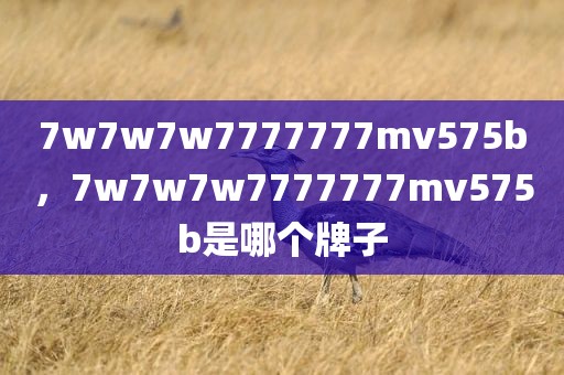 7w7w7w7777777mv575b，7w7w7w7777777mv575b是哪个牌子