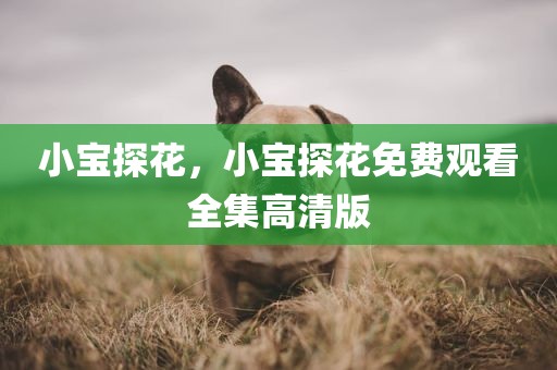 小宝探花，小宝探花免费观看全集高清版