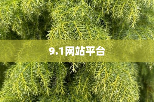 9.1网站平台