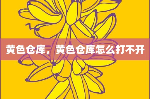 黄色仓库，黄色仓库怎么打不开