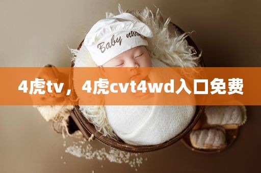 4虎tv，4虎cvt4wd入口免费