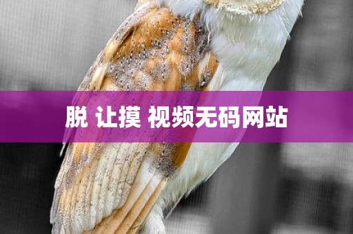 脱 让摸 视频无码网站