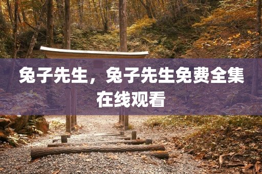 兔子先生，兔子先生免费全集在线观看
