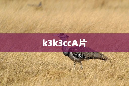 k3k3ccA片