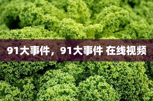 91大事件，91大事件 在线视频
