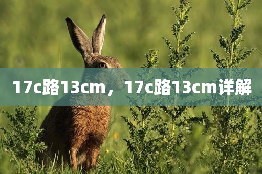 17c路13cm，17c路13cm详解