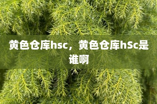 黄色仓库hsc，黄色仓库hSc是谁啊