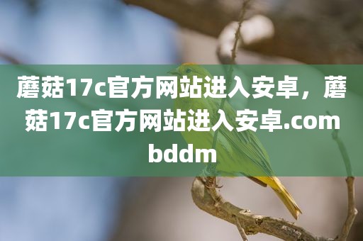 蘑菇17c官方网站进入安卓，蘑菇17c官方网站进入安卓.combddm