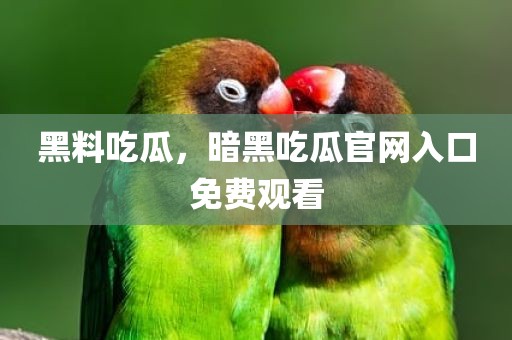 黑料吃瓜，暗黑吃瓜官网入口免费观看
