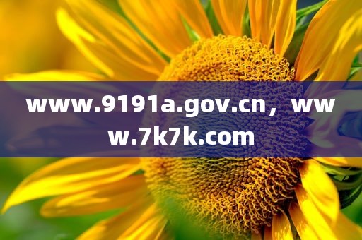 www.9191a.gov.cn，www.7k7k.com