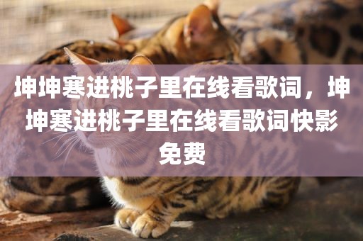 坤坤寒进桃子里在线看歌词，坤坤寒进桃子里在线看歌词快影免费