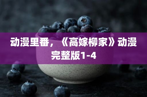 动漫里番，《高嫁柳家》动漫完整版1-4