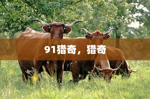 91猎奇，猎奇