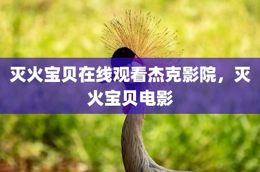 灭火宝贝在线观看杰克影院，灭火宝贝电影