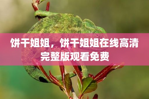 饼干姐姐，饼干姐姐在线高清完整版观看免费