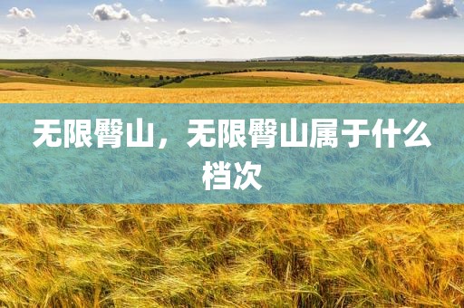 无限臀山，无限臀山属于什么档次