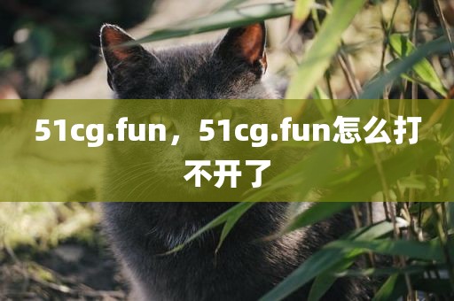 51cg.fun，51cg.fun怎么打不开了