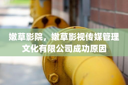 嫩草影院，嫩草影视传媒管理文化有限公司成功原因