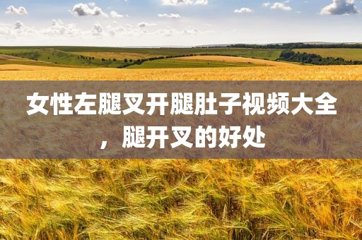 女性左腿叉开腿肚子视频大全，腿开叉的好处