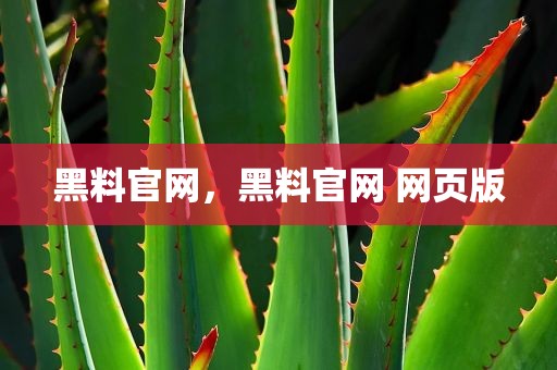 黑料官网，黑料官网 网页版