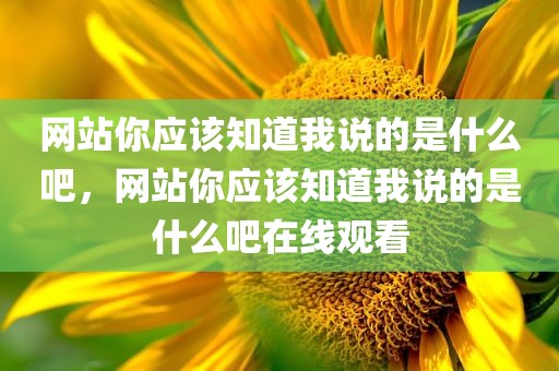 网站你应该知道我说的是什么吧，网站你应该知道我说的是什么吧在线观看