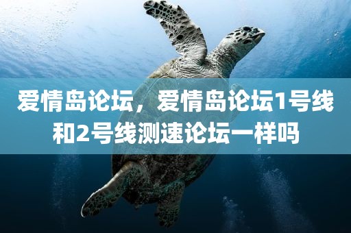 爱情岛论坛，爱情岛论坛1号线和2号线测速论坛一样吗