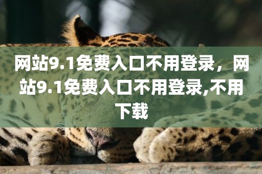 网站9.1免费入口不用登录，网站9.1免费入口不用登录,不用下载