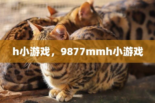 h小游戏，9877mmh小游戏