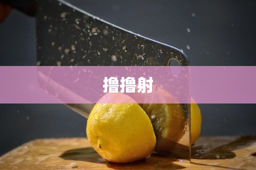 撸撸射