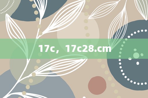 17c，17c28.cm