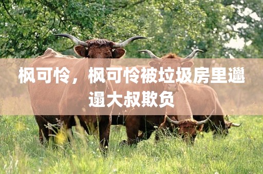 枫可怜，枫可怜被垃圾房里邋遢大叔欺负