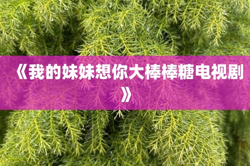 《我的妹妹想你大棒棒糖电视剧》