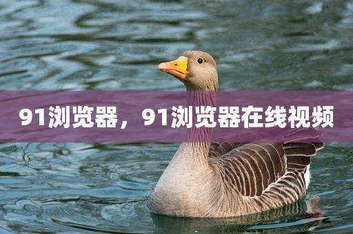 91浏览器，91浏览器在线视频