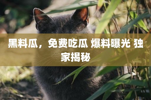 黑料瓜，免费吃瓜 爆料曝光 独家揭秘