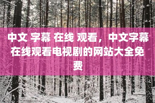 中文 字幕 在线 观看，中文字幕在线观看电视剧的网站大全免费