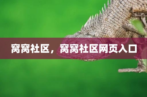 窝窝社区，窝窝社区网页入口