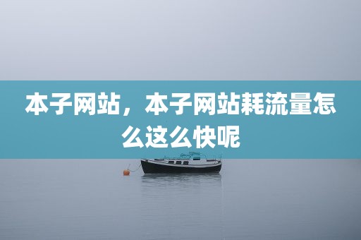 本子网站，本子网站耗流量怎么这么快呢
