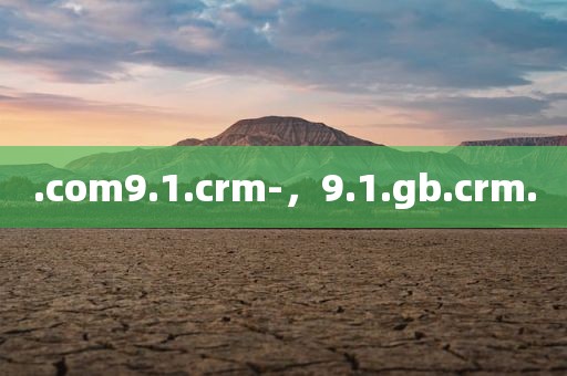 .com9.1.crm-，9.1.gb.crm.