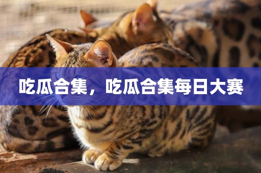 吃瓜合集，吃瓜合集每日大赛