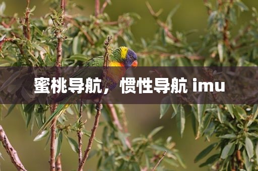 蜜桃导航，惯性导航 imu