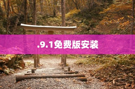 .9.1免费版安装