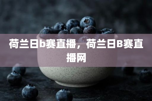 荷兰日b赛直播，荷兰日B赛直播网