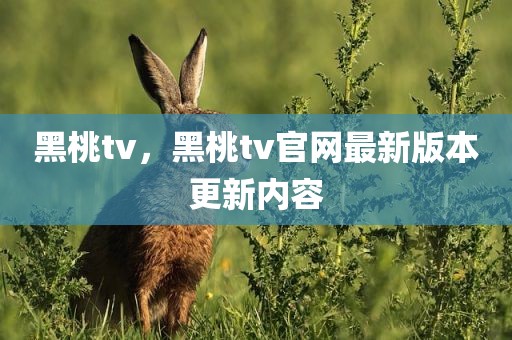 黑桃tv，黑桃tv官网最新版本更新内容