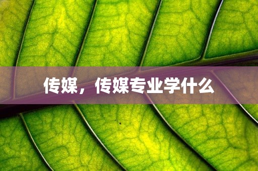 传媒，传媒专业学什么