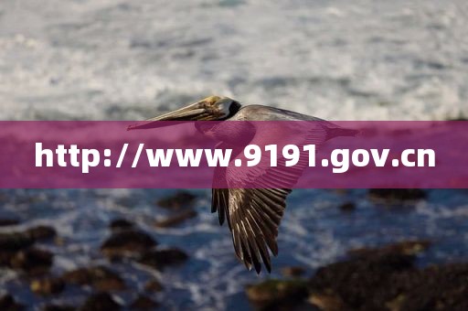 http://www.9191.gov.cn