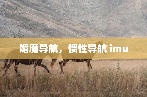 媚魔导航，惯性导航 imu