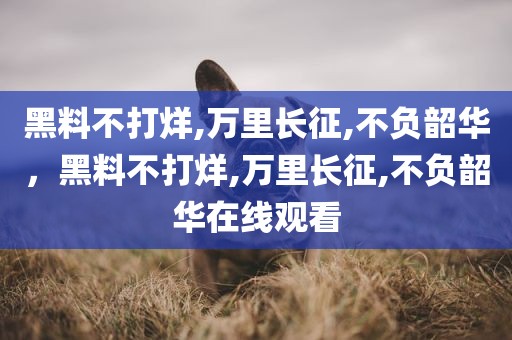 黑料不打烊,万里长征,不负韶华，黑料不打烊,万里长征,不负韶华在线观看
