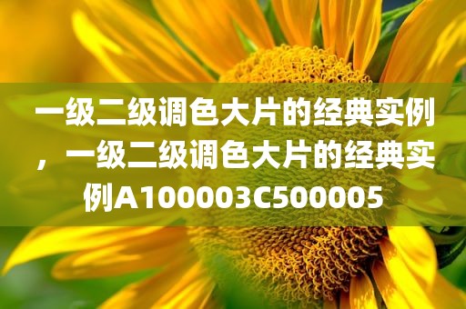 一级二级调色大片的经典实例，一级二级调色大片的经典实例A100003C500005