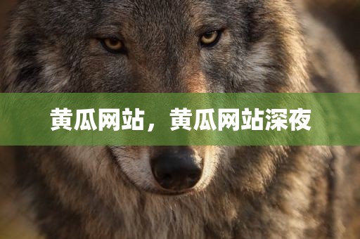 黄瓜网站，黄瓜网站深夜